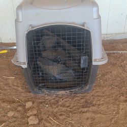 cage for medium dogs $75