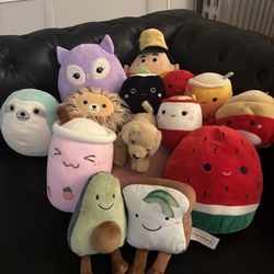 Squishmallow Collectibles Plus Toys