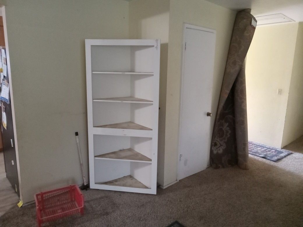 Bookcase/Cabinet 50 Or Best Offer