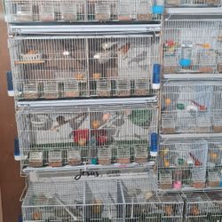 Breeding Cage