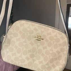 Beige Purse