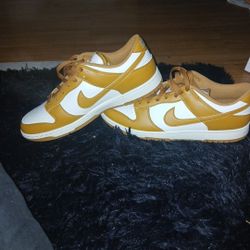 NIKE DUNKS SZ 11 BRAND NEW