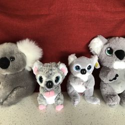 Assorted Koala Stuffed Animals 