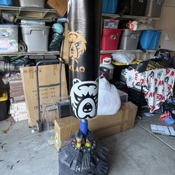 Punching bag with gloves