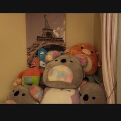 Plushies 