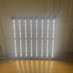 Lights