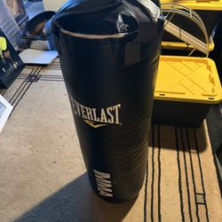 Everlast MMA Punching Bag 