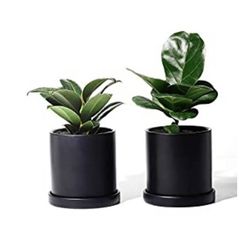  Ceramic Plant Pots with Saucers - 3.8" Flower Planter Indoor with Drainage Medium Container Minimalism Round - Set of 2, 