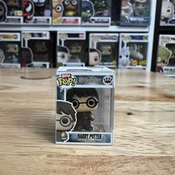 RARE CHASE BITTY Harry Potter Golden Egg Funko Pop Triwizard Tournament Goblet