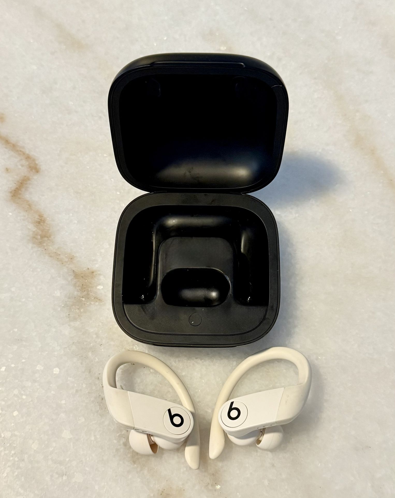 Beats Powerbeats Pro by Dre