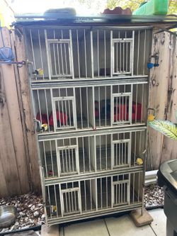 Jaula para palomas