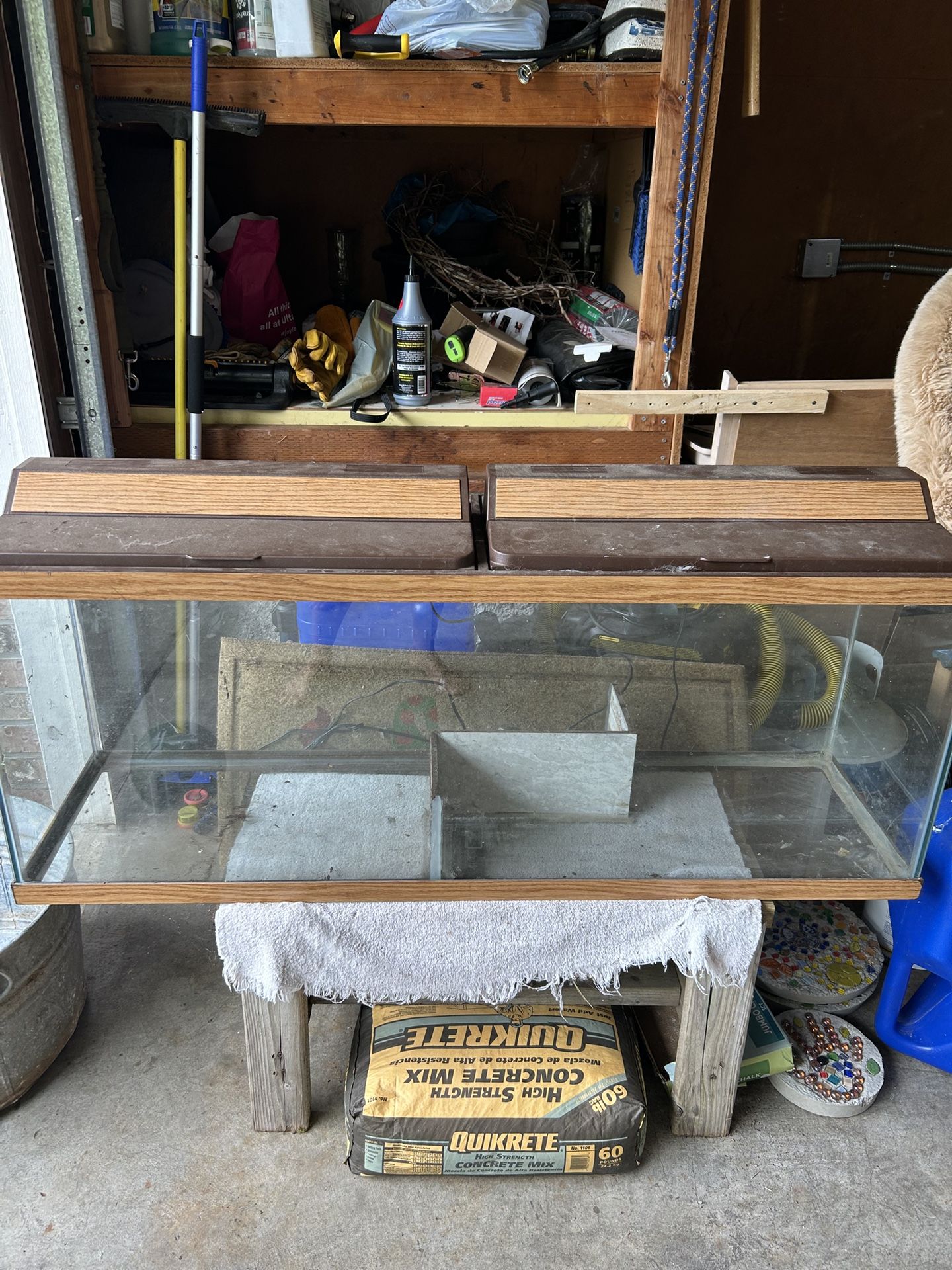 Reptile Tank / Terrarium - FREE