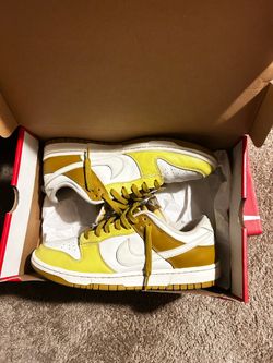 Nike dunks size 9.5