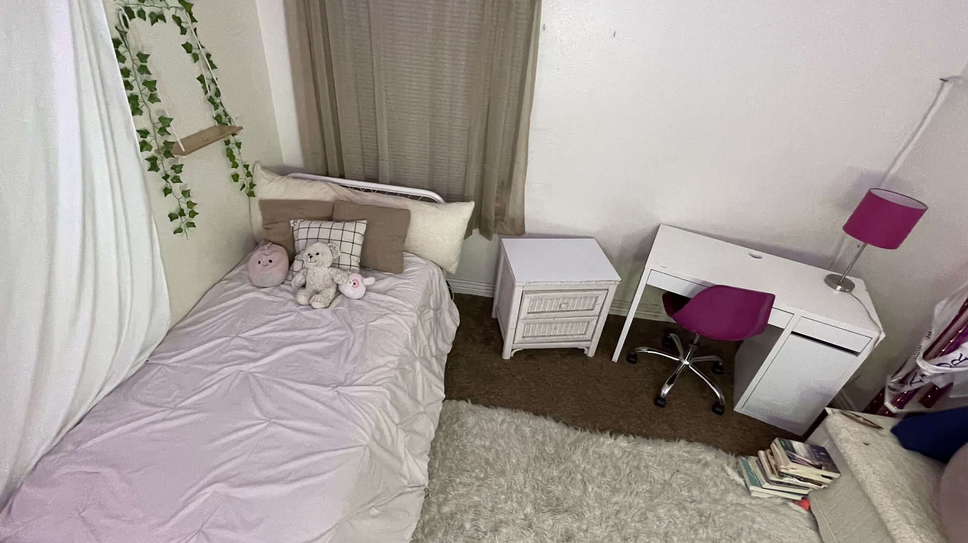 Little Girl/Teen Girl Bedroom Set
