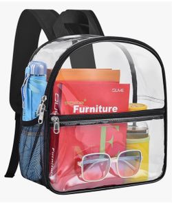 Clear bag pack stadium approve