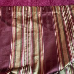  Cortina Baño  Dino Nueva