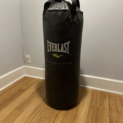 Everlast Punching Bag