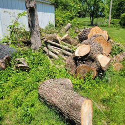 Free Fire Wood