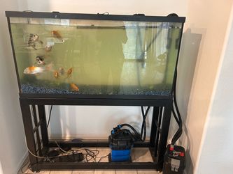 Aquarium