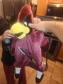 AZ CARDINALS