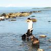 MyWhimsyWillow 