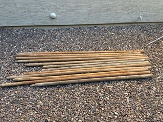 Tree stakes