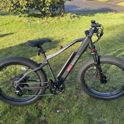 Bicicleta Eléctrica 
