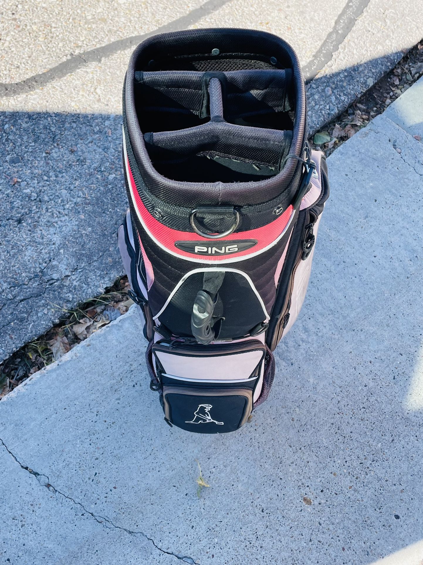 Ping Golf Bag