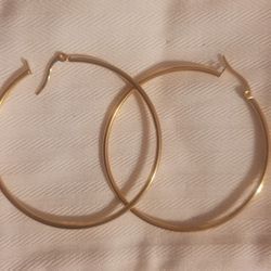 Steel Stainless Earrings