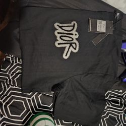 Christain Dior Tee Shirt 