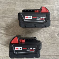 Milwaukee M18 18-Volt Lithium-Ion XC Extended Capacity 5.0 Ah Battery Pack (2-Pack)