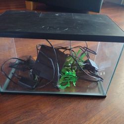 3 Gallon Fish Tank