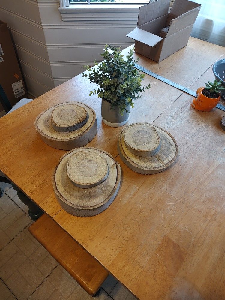 Decorative Wood Rounds Beautiful Eucalyptus