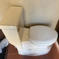 American Standard Toilet
