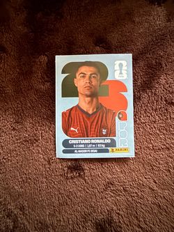 Panini World Cup sticker