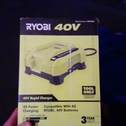 Ryobi 40 Volt Rapid Charger