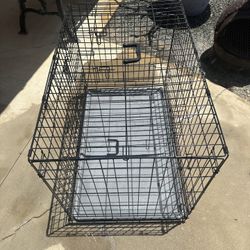 Dog Kennel 