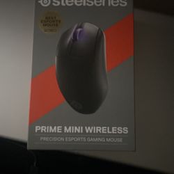 Steel series prime mini wireless gaming mouse