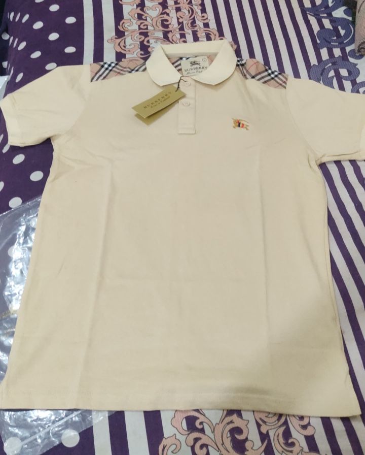 Burberry Shirt For 100.00