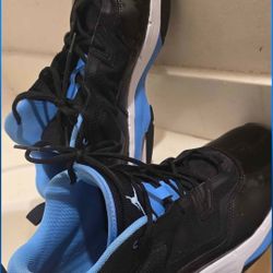 Jordan's SIZE 12