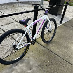 29 Inch Throne, Goon Bike