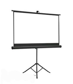 60 Inch Projector Screen with Stand