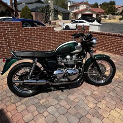 2008 triumph t100