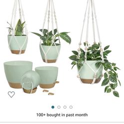 Plant Holders But Black 