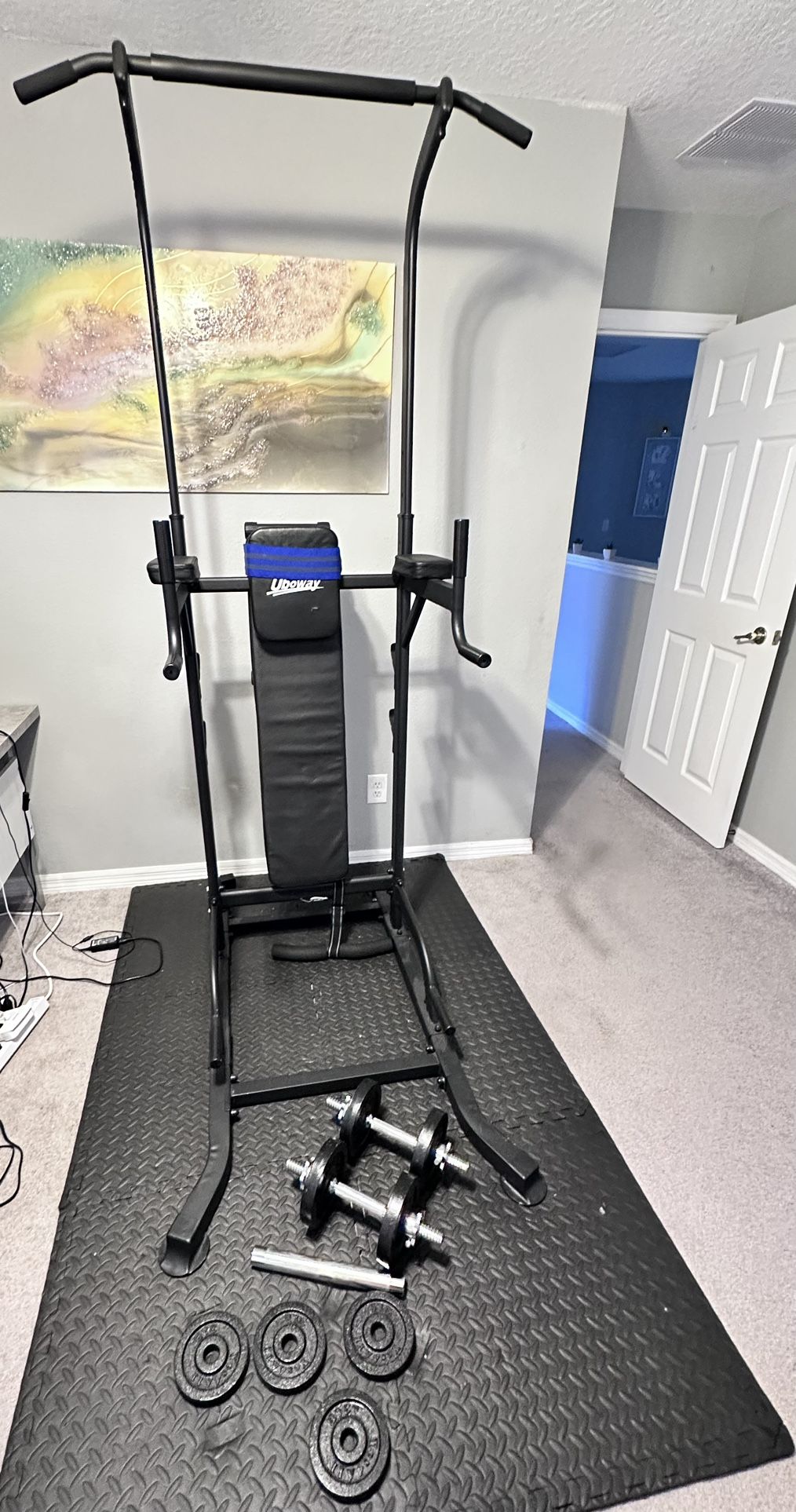 Adjustable Workout Stand