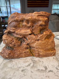 Lizard Habitat Accessories
