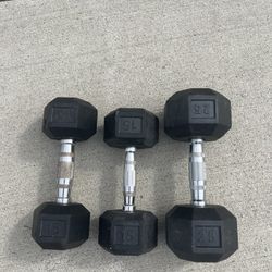 15lb & 25lb Weights