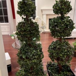 Topiary (2)