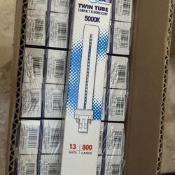 Satco Compact Twin Fluorescent Light