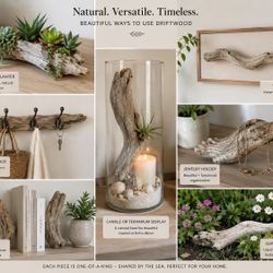 Set of 4 Natural Weathered Driftwood Pieces Coastal, Aquarium, Terrarium & Home Decor 